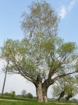 przyroda_3