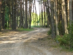 przyroda_4