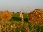 przyroda_6