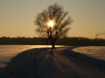 przyroda_6