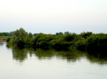 przyroda_7